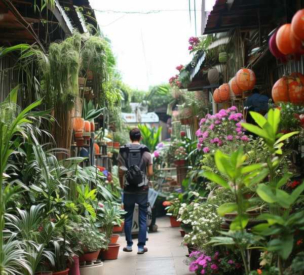 鹰潭鲜花盆景批发市场，一站式盆景花卉选购攻略